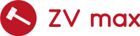 ZV max Logo Google